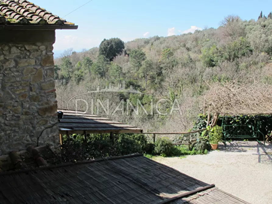 Immagine 55 di Agriturismo in vendita  a Lamporecchio