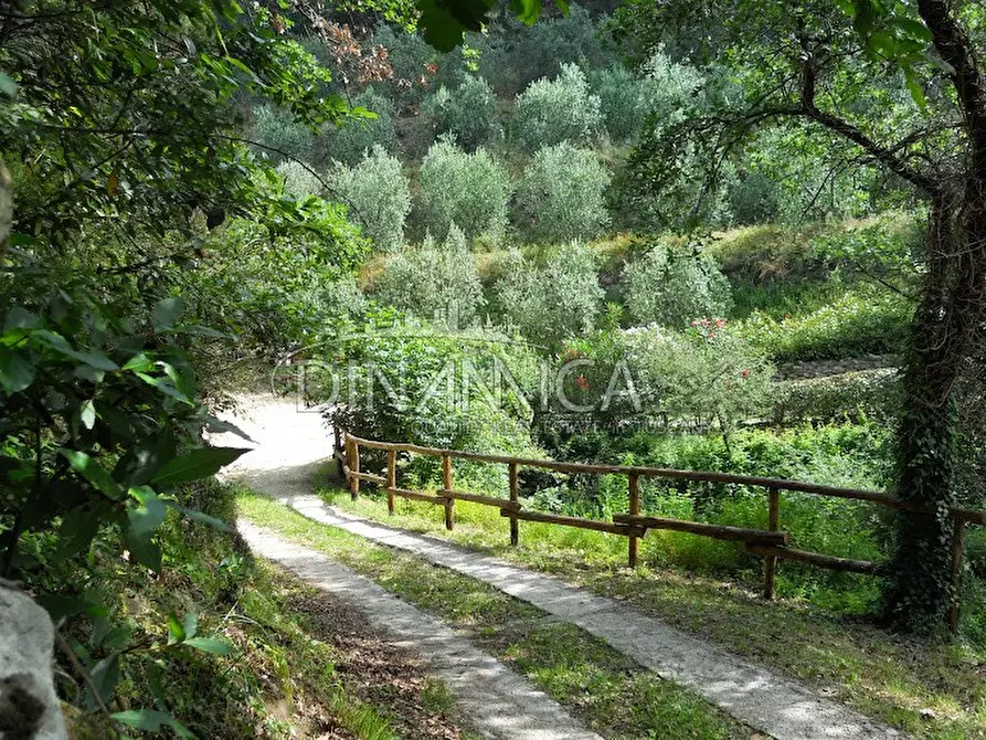 Immagine 57 di Agriturismo in vendita  a Lamporecchio