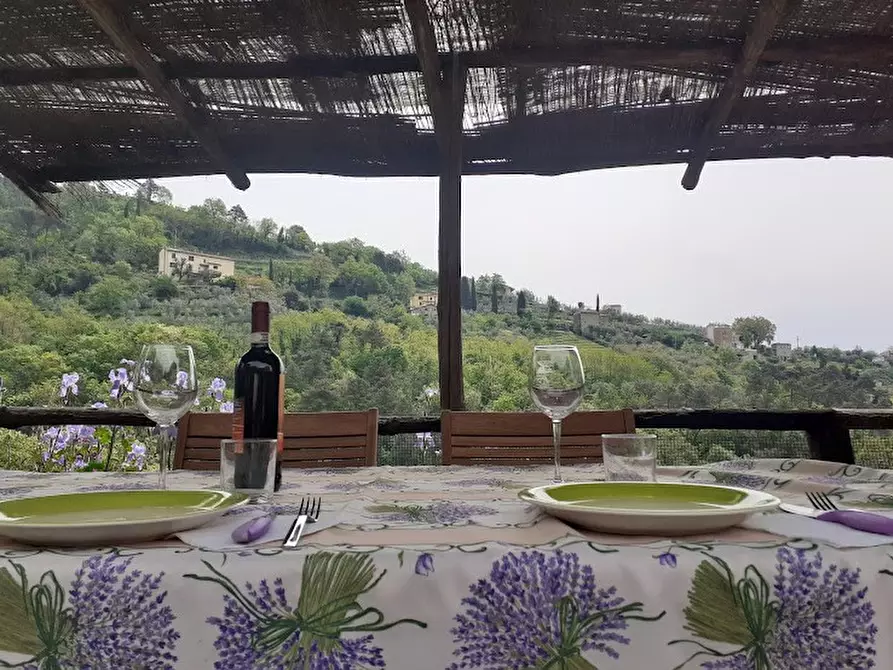 Immagine 58 di Agriturismo in vendita  a Lamporecchio