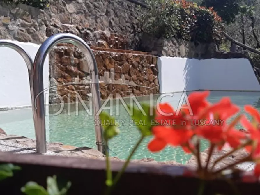 Immagine 67 di Agriturismo in vendita  a Lamporecchio