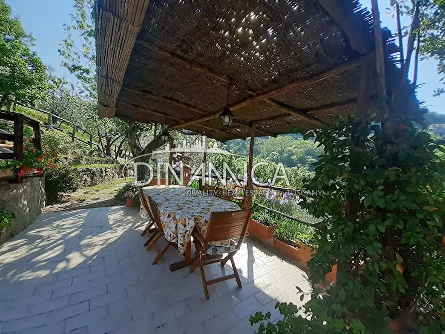 Immagine 69 di Agriturismo in vendita  a Lamporecchio