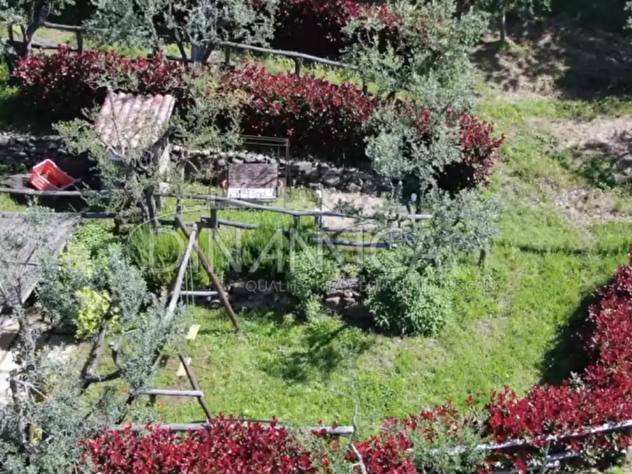 Immagine 74 di Agriturismo in vendita  a Lamporecchio