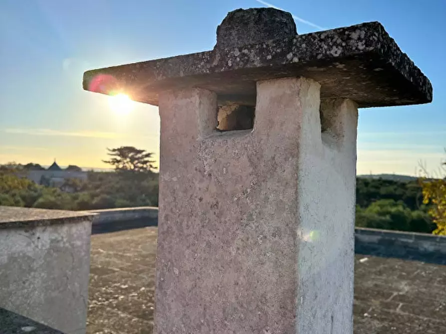 Immagine 25 di Rustico / casale in vendita  a Cisternino