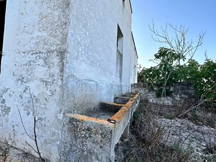 Immagine 31 di Rustico / casale in vendita  a Cisternino