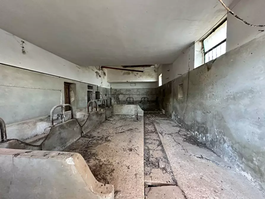 Immagine 32 di Rustico / casale in vendita  a Cisternino