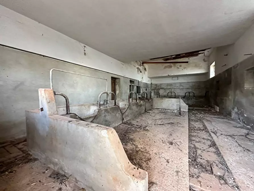 Immagine 33 di Rustico / casale in vendita  a Cisternino