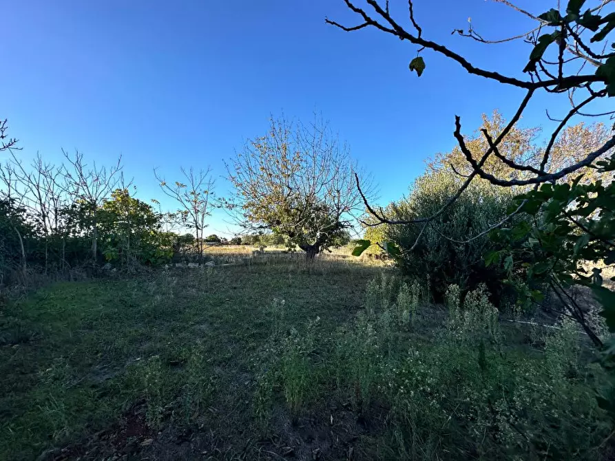 Immagine 34 di Rustico / casale in vendita  a Cisternino