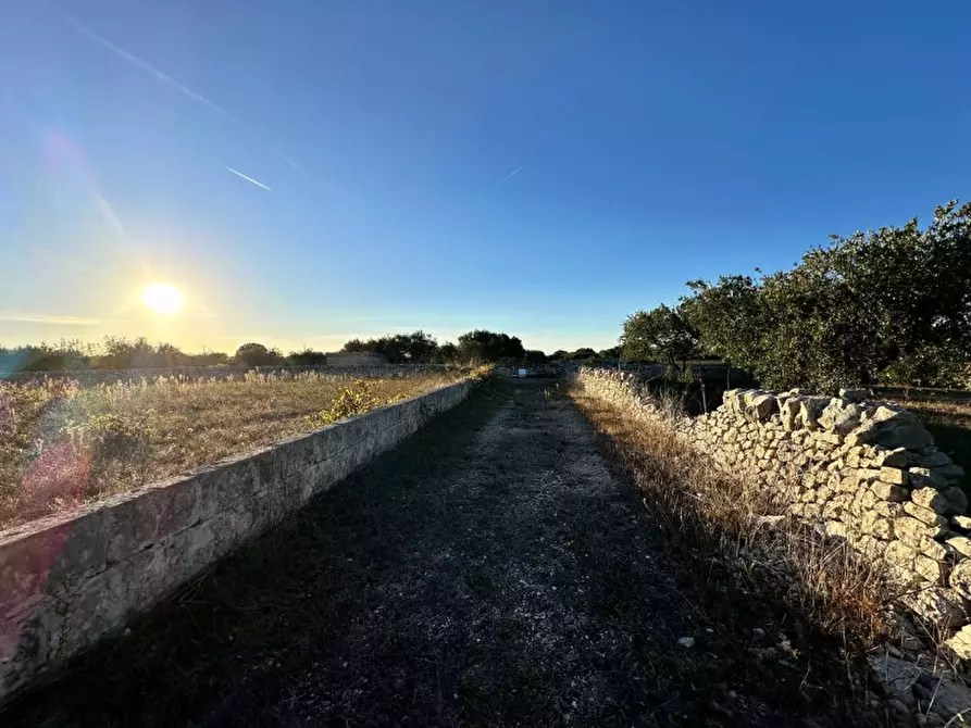 Immagine 35 di Rustico / casale in vendita  a Cisternino