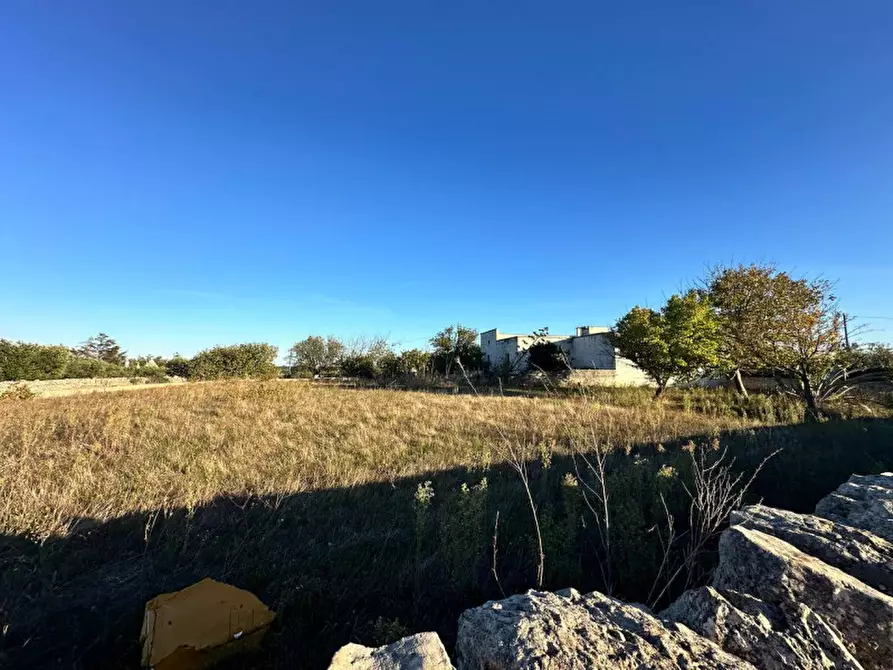 Immagine 38 di Rustico / casale in vendita  a Cisternino