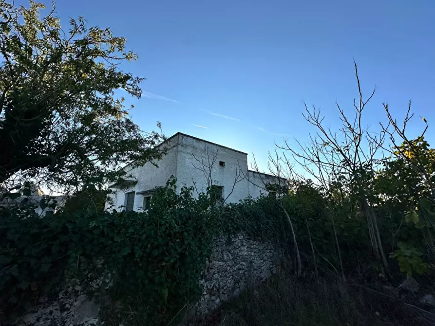 Immagine 39 di Rustico / casale in vendita  a Cisternino