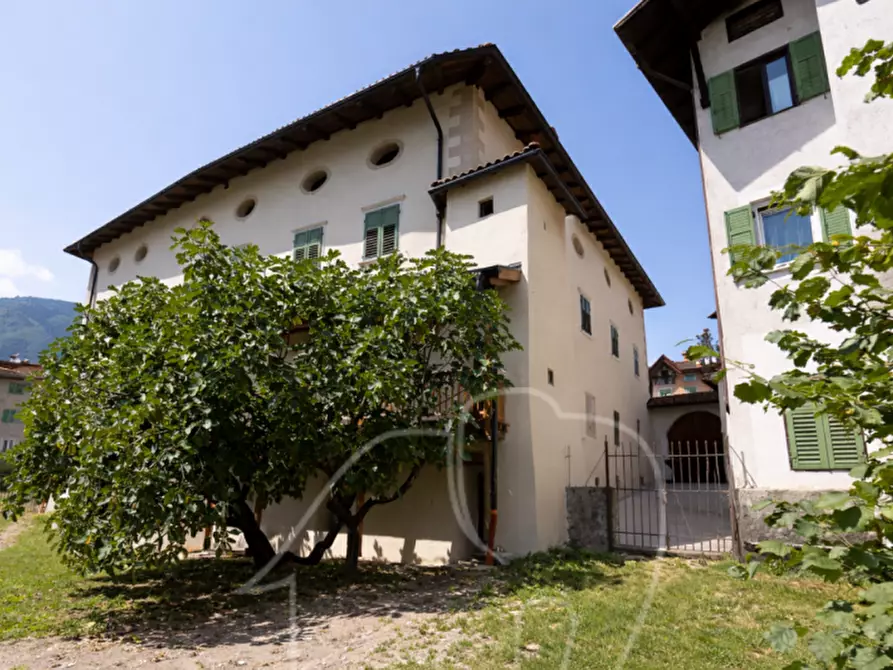 Immagine 3 di Villa in vendita  in Via Trento a Ville D'anaunia