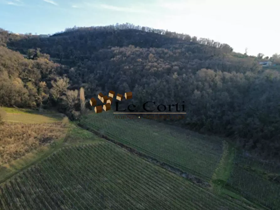Immagine 5 di Casa indipendente in vendita  in Via Valle a Sarego