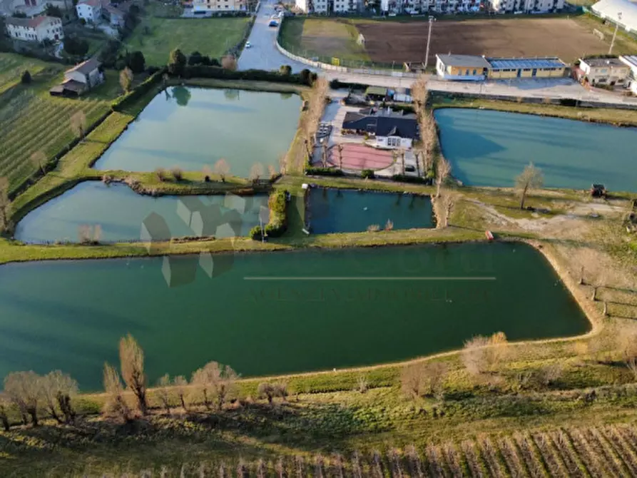 Immagine 11 di Casa indipendente in vendita  in Via Valle a Sarego
