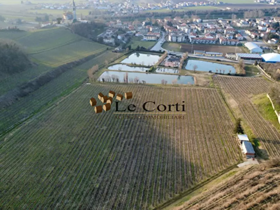 Immagine 7 di Casa indipendente in vendita  in Via Valle a Sarego