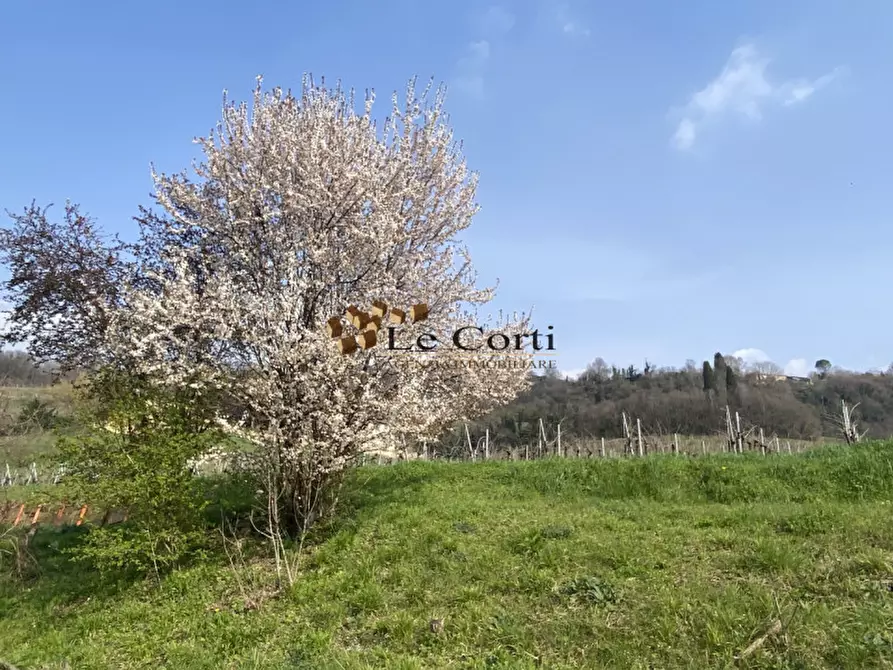 Immagine 15 di Casa indipendente in vendita  in Via Valle a Sarego