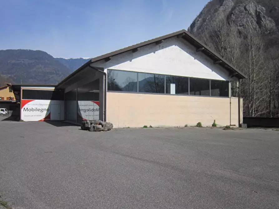 Immagine 2 di Capannone industriale in vendita  in Via Poeti Gozzi a Lenna