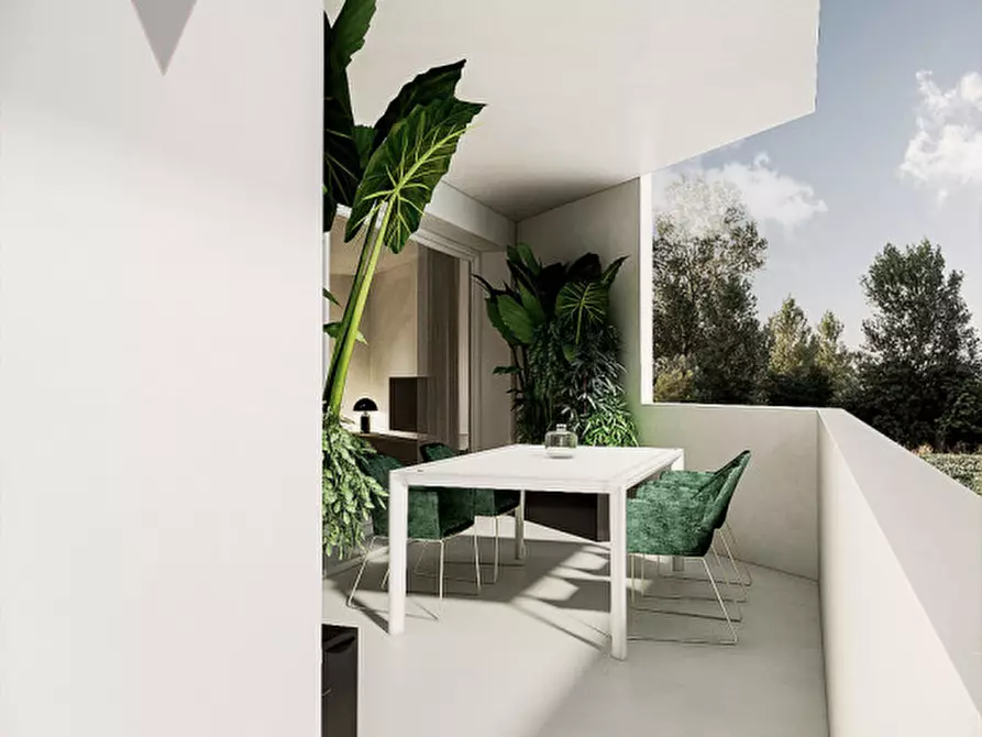 Immagine 6 di Appartamento in vendita  a Camponogara