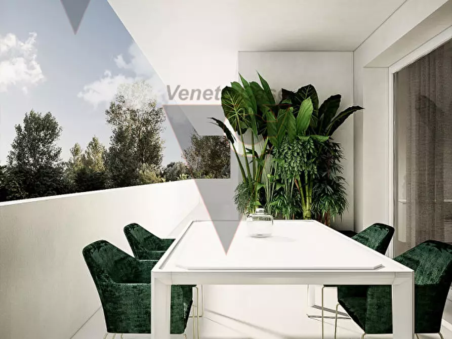 Immagine 7 di Appartamento in vendita  a Camponogara