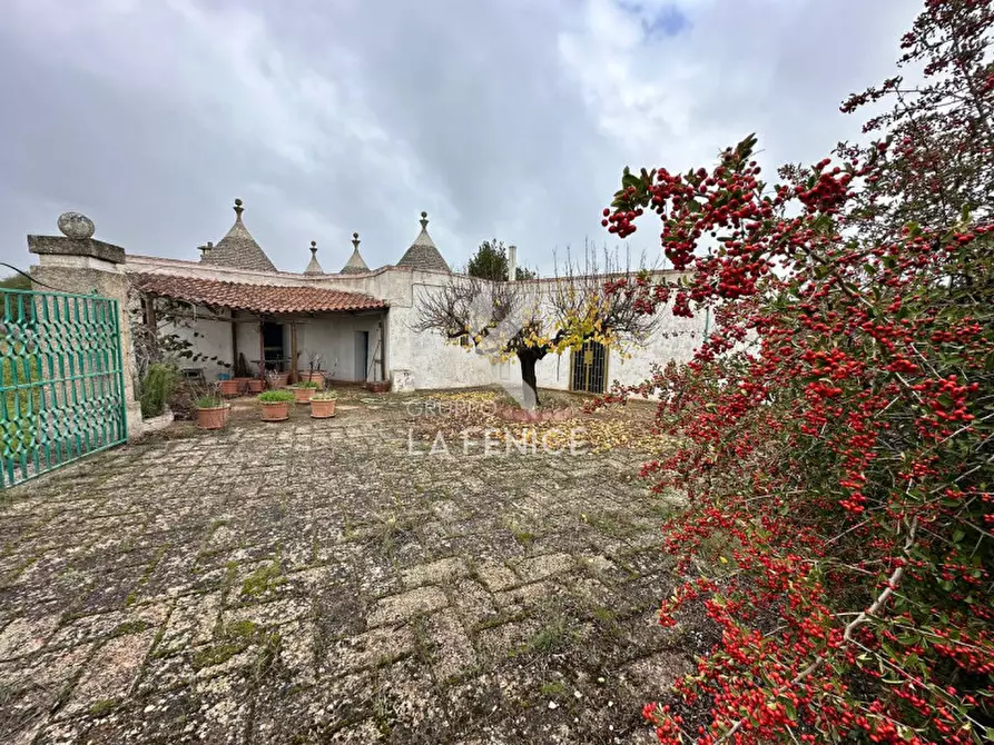 Immagine 3 di Rustico / casale in vendita  in strada foggevo a Martina Franca