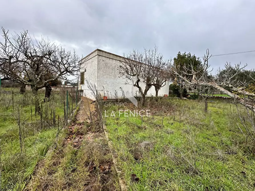 Immagine 31 di Rustico / casale in vendita  in strada foggevo a Martina Franca