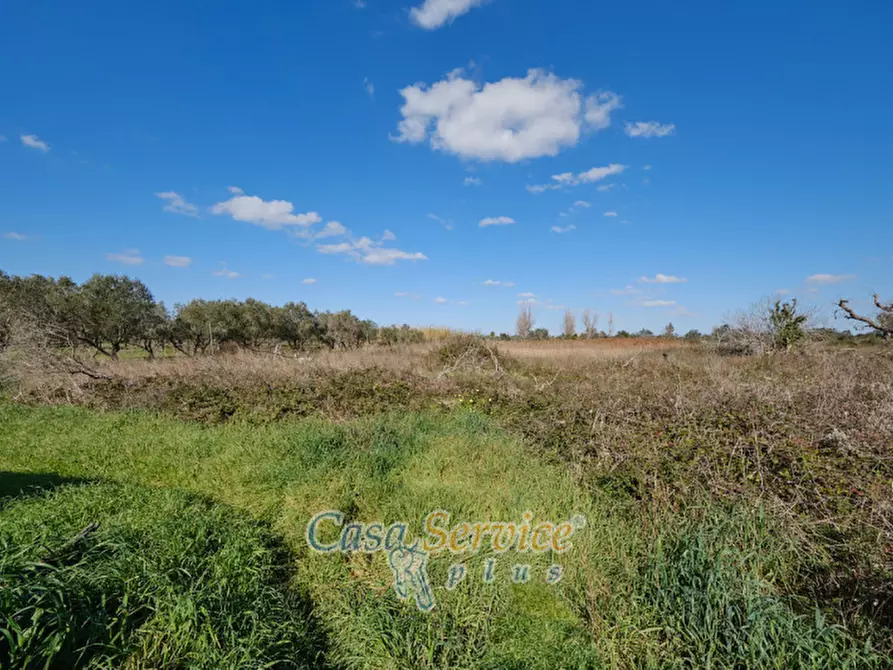 Immagine 14 di Rustico / casale in vendita  in Contrada Fabbrica a Alezio