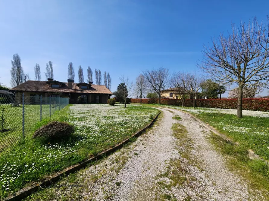 Immagine 2 di Casa bifamiliare in vendita  in Campolongo Maggiore a Campolongo Maggiore
