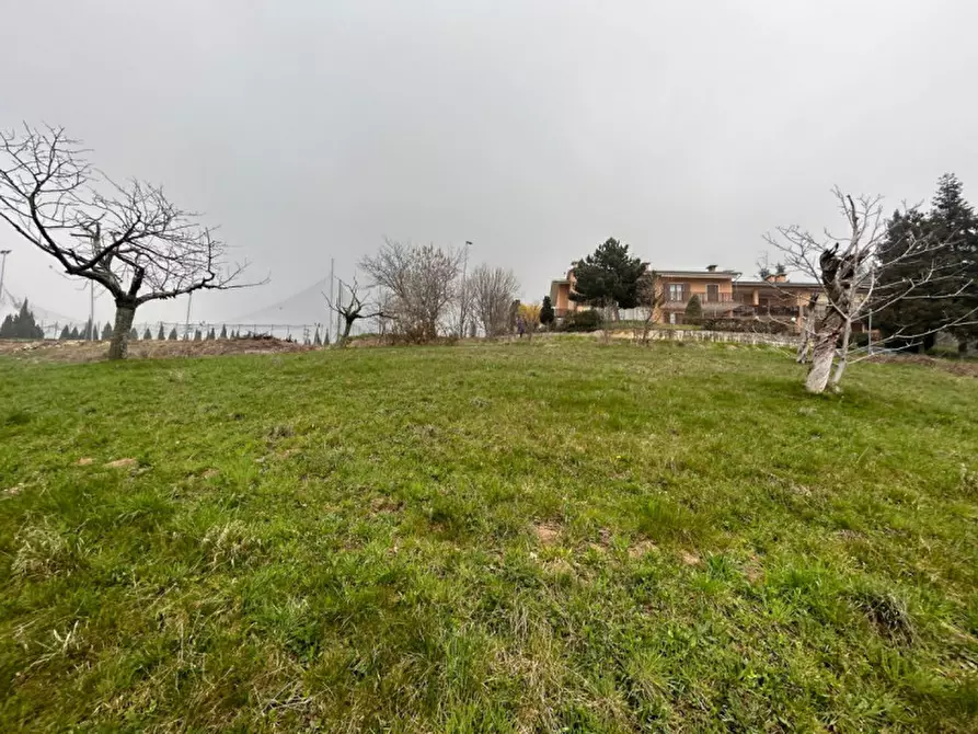 Immagine 1 di Terreno in vendita  a San Mauro Di Saline