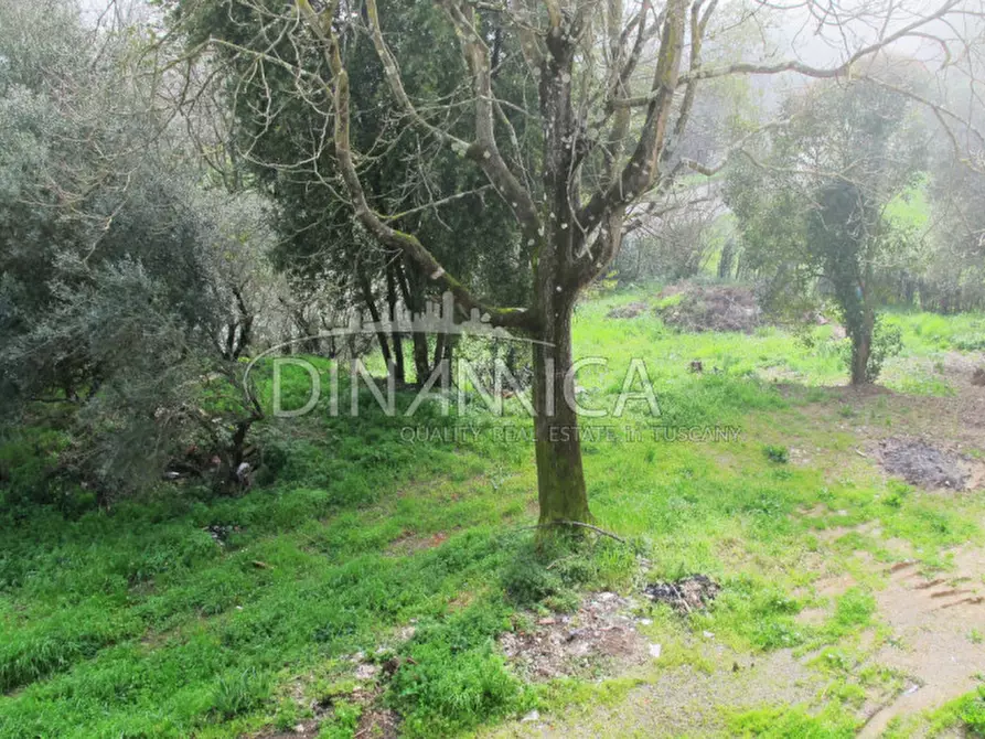 Immagine 31 di Villa in vendita  a Castelfranco Di Sotto