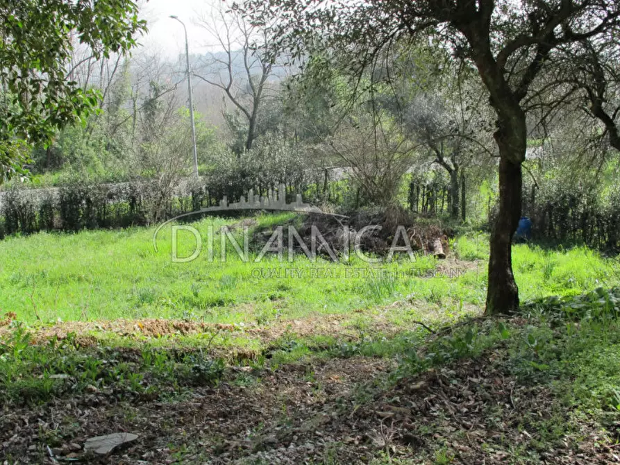 Immagine 59 di Villa in vendita  a Castelfranco Di Sotto