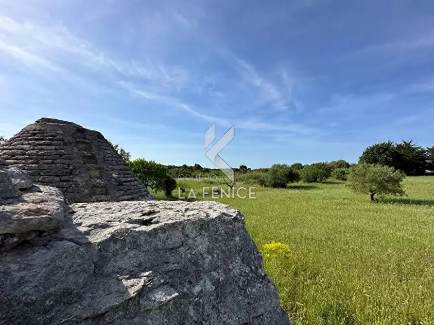 Immagine 19 di Rustico / casale in vendita  in Strada Cupina a Martina Franca