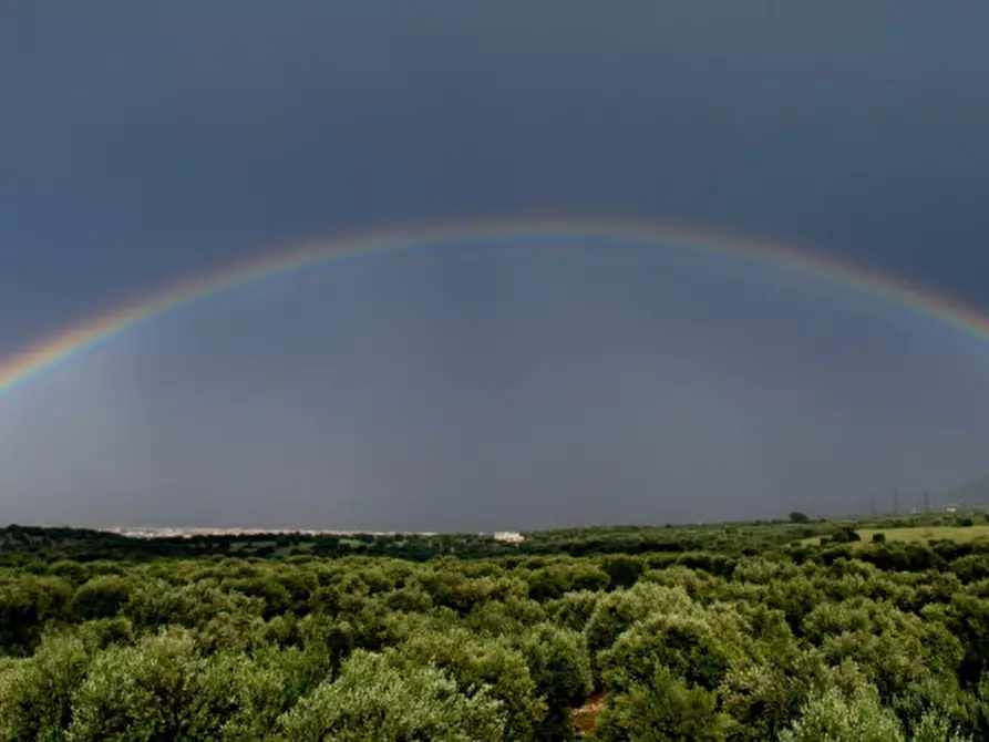 Immagine 25 di Casa indipendente in vendita  in ABR a Fasano