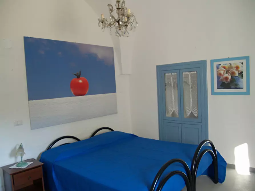 Immagine 33 di Casa indipendente in vendita  in ABR a Fasano