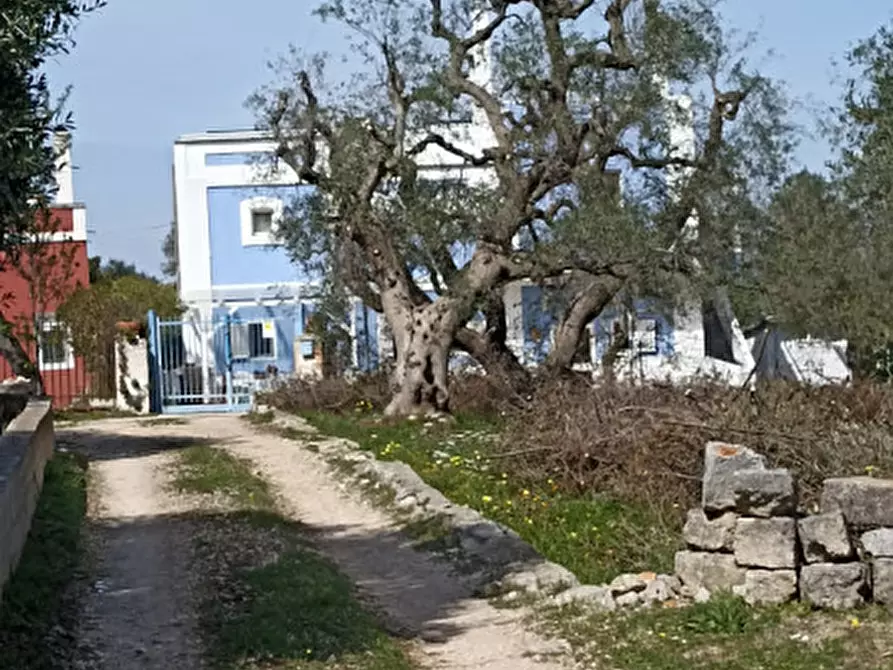 Immagine 40 di Casa indipendente in vendita  in ABR a Fasano