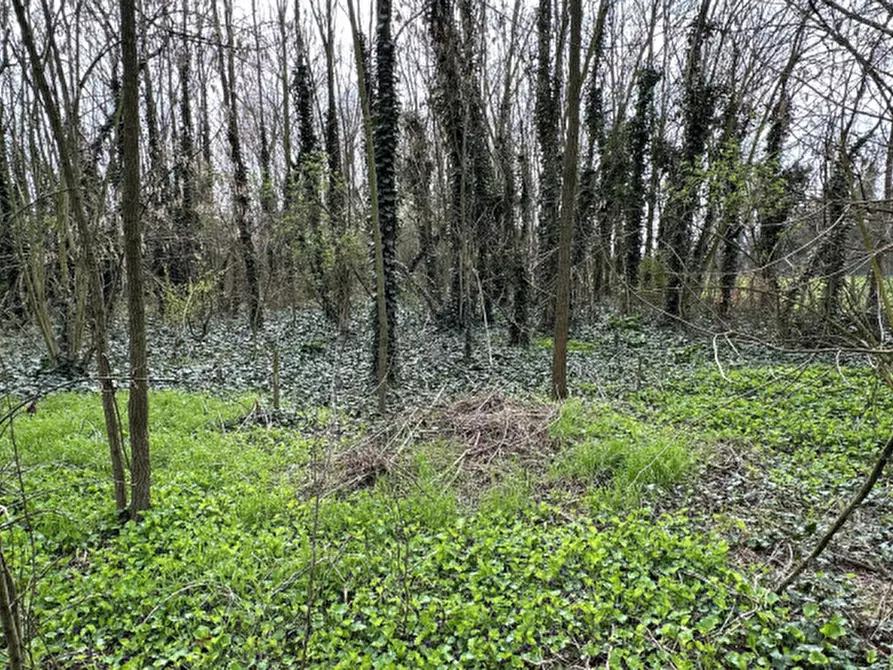 Immagine 2 di Terreno in vendita  in Via savellon 38 a Granze