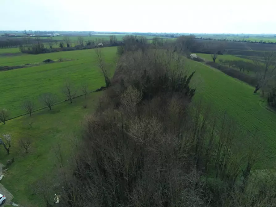 Immagine 3 di Terreno in vendita  in Via savellon 38 a Granze