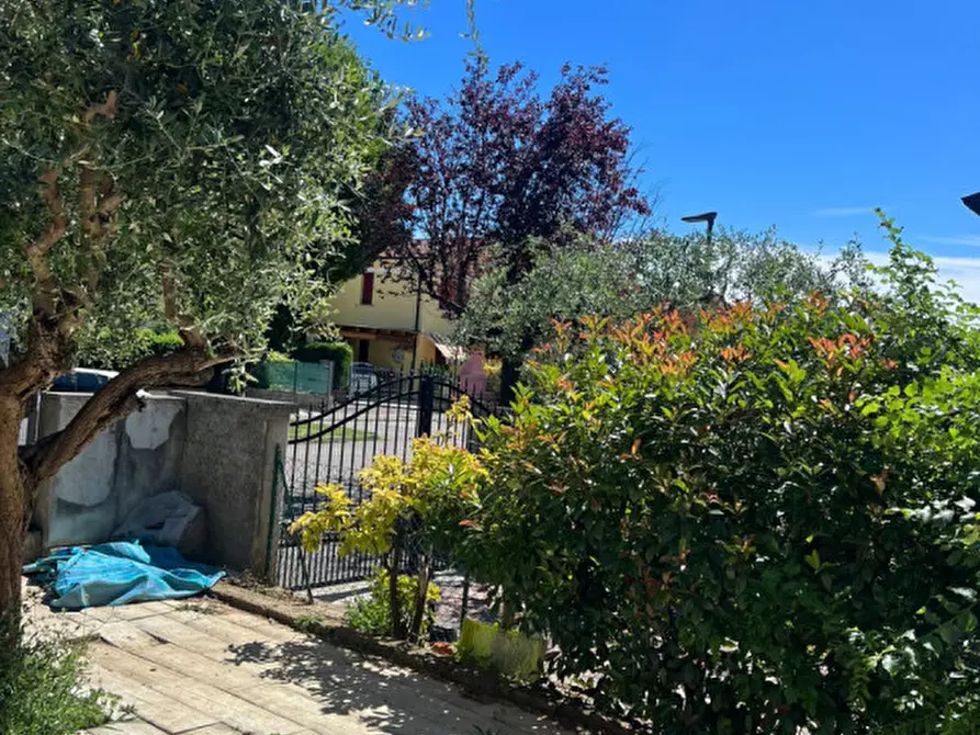 Immagine 6 di Casa trifamiliare in affitto  in via roma a Nanto