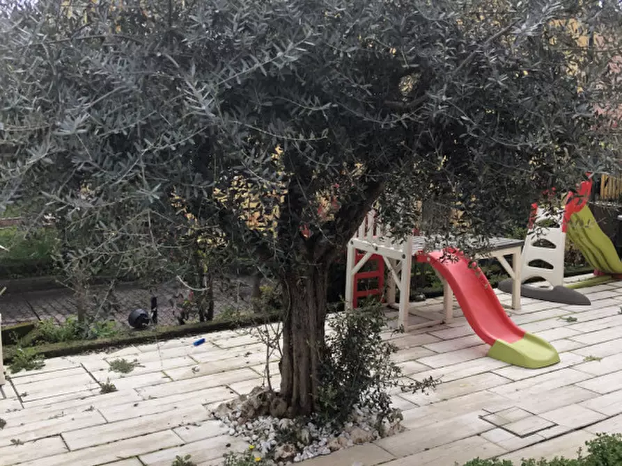 Immagine 16 di Casa trifamiliare in affitto  in via roma a Nanto