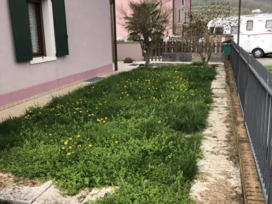 Immagine 28 di Casa trifamiliare in affitto  in via roma a Nanto
