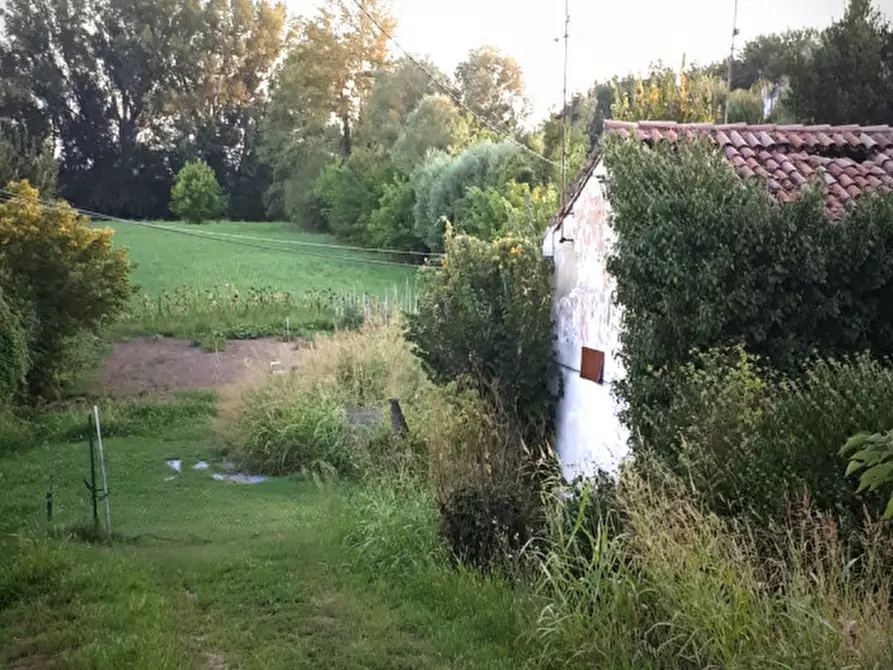Immagine 1 di Terreno in vendita  in va Dante Gallani a Rovigo