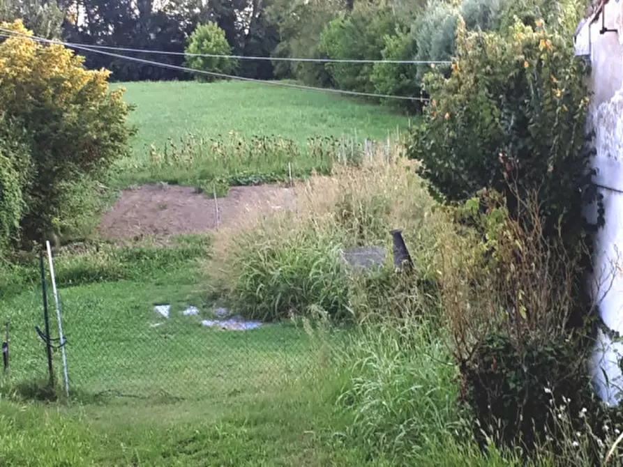 Immagine 2 di Terreno in vendita  in va Dante Gallani a Rovigo