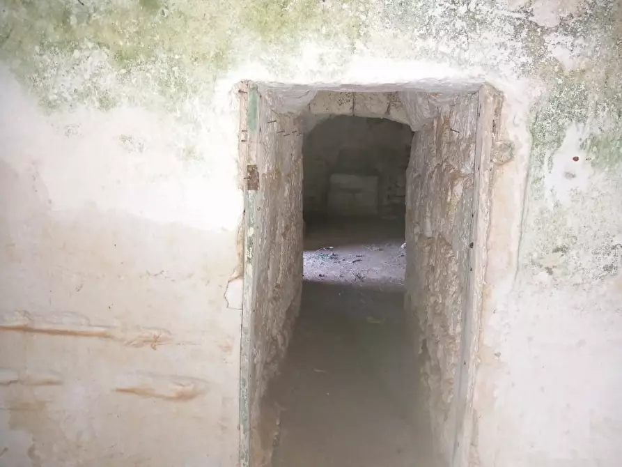Immagine 15 di Rustico / casale in vendita  in C.da Don Giulio a Francavilla Fontana