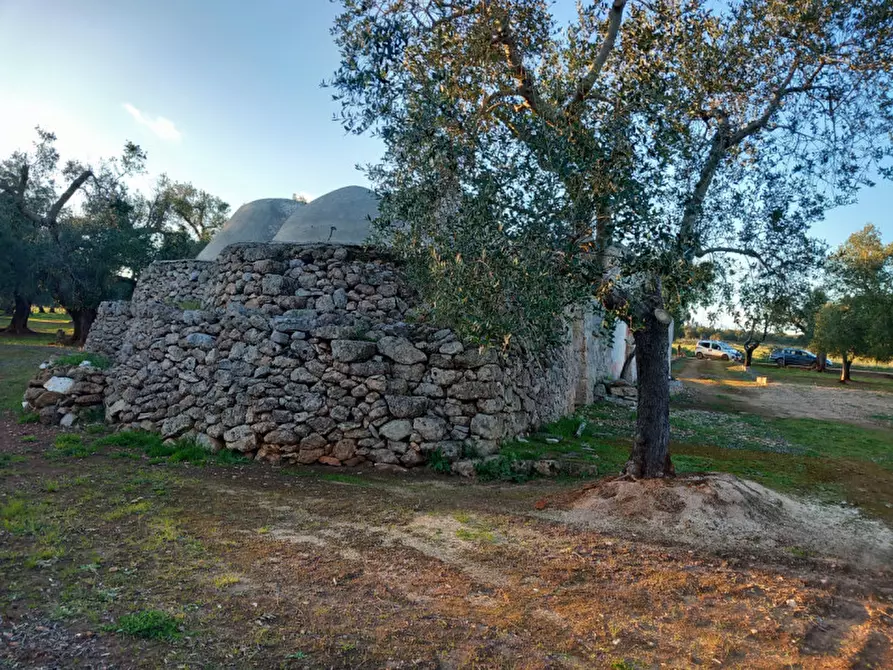 Immagine 20 di Rustico / casale in vendita  in C.da Don Giulio a Francavilla Fontana