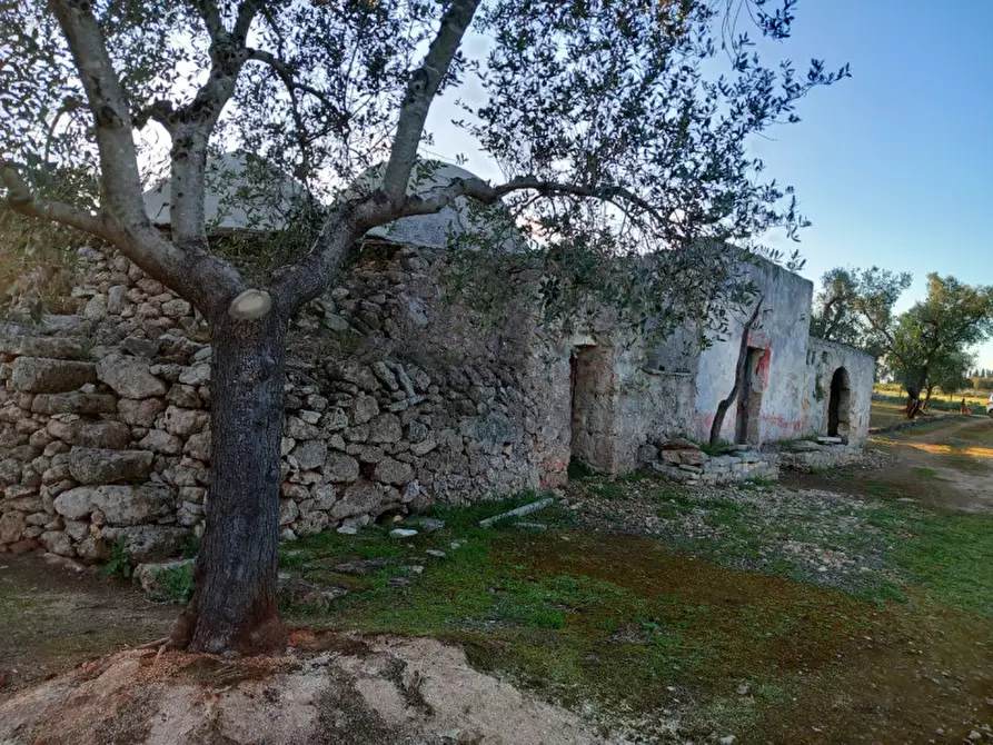 Immagine 21 di Rustico / casale in vendita  in C.da Don Giulio a Francavilla Fontana