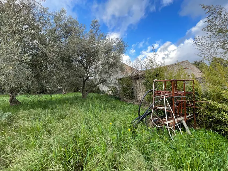 Immagine 14 di Casa indipendente in vendita  in Via San Giuliano Macalle a Modica