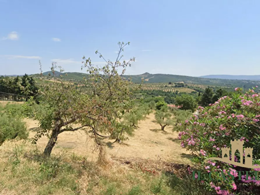 Immagine 2 di Appartamento in vendita  in Viale della Repubblica a Panicale