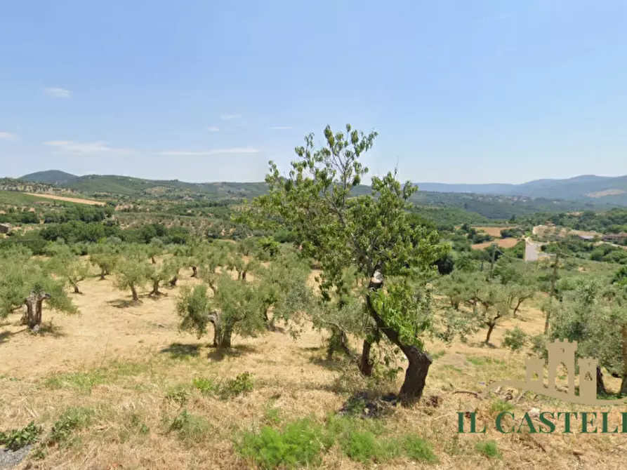 Immagine 5 di Appartamento in vendita  in Viale della Repubblica a Panicale