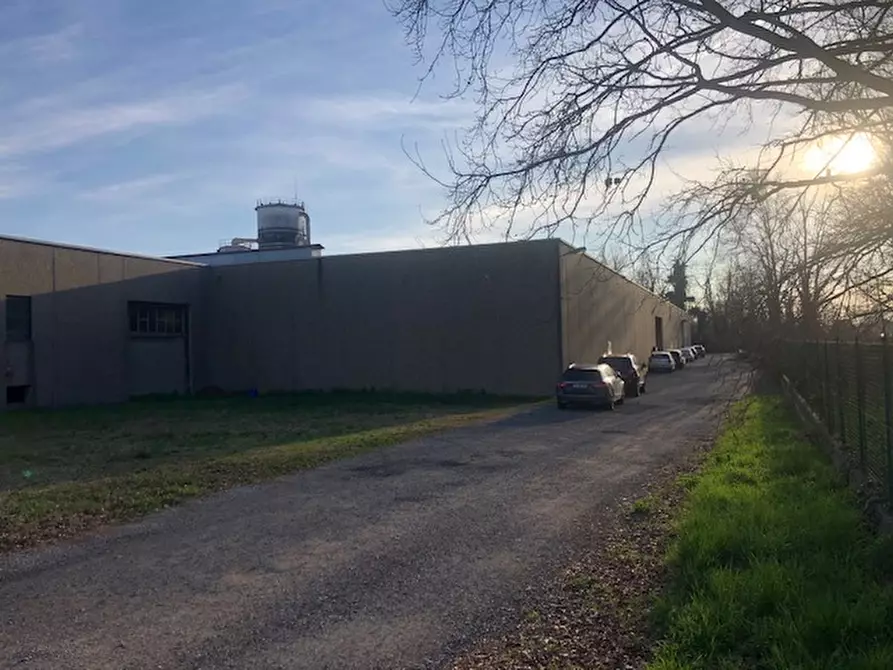 Immagine 3 di Capannone industriale in vendita  in VIA DELLE VIOLE a Cogliate