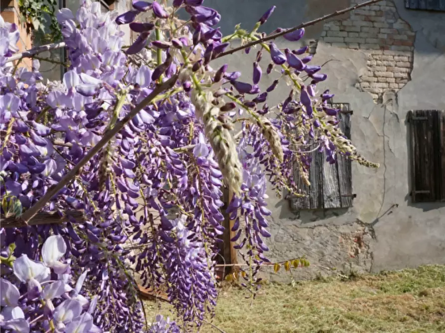 Immagine 19 di Rustico / casale in vendita  in via Matteotti a Sorbolo Mezzani