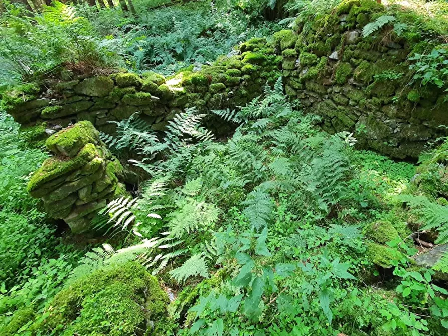 Immagine 6 di Rustico / casale in vendita  in località Plum Plumer a Sella Giudicarie