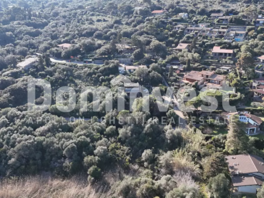 Immagine 16 di Villa in vendita  in STRADA DELLA TAGLIATA a Orbetello